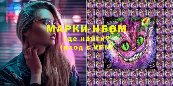 сатива Дмитров